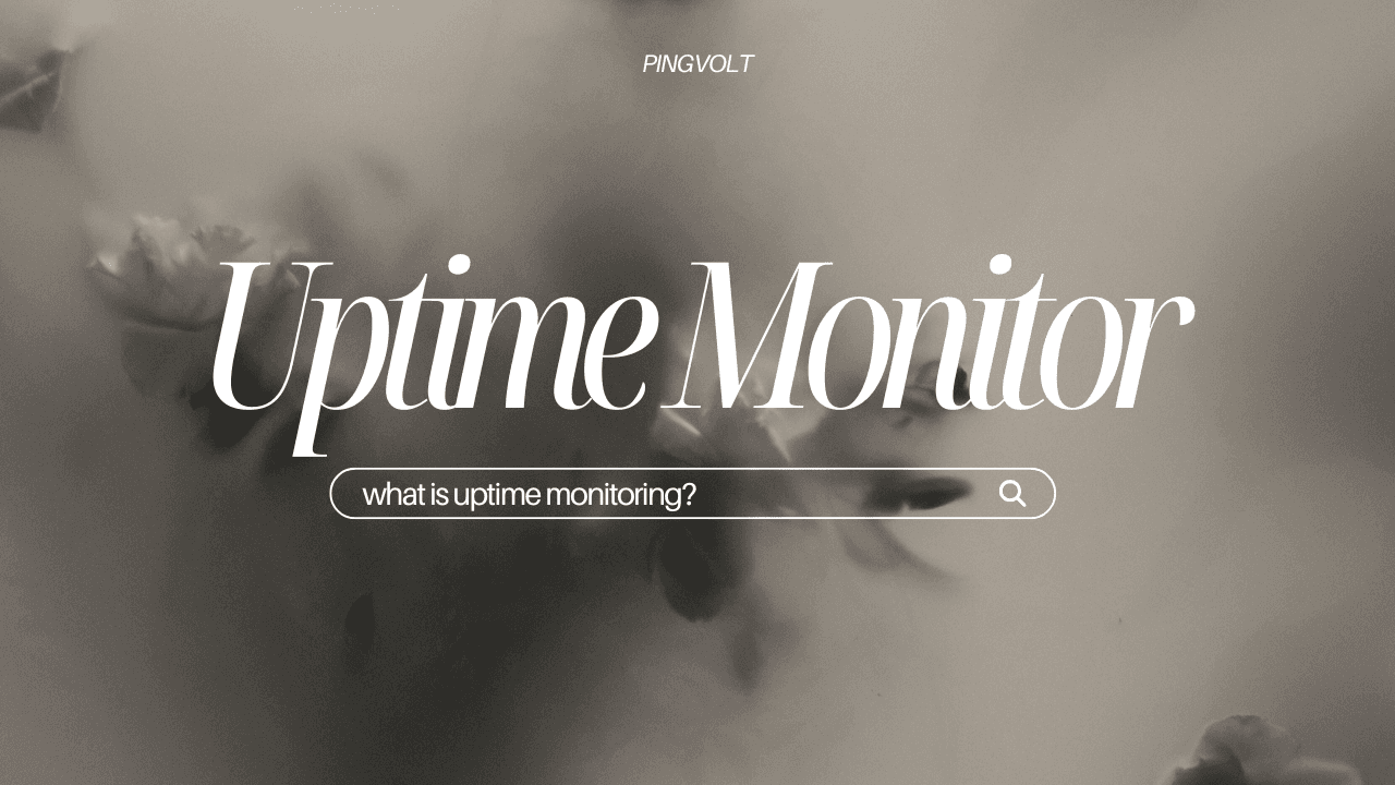 Uptime Monitor for APIs & Websites