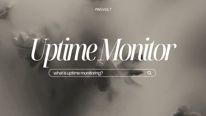 Uptime Monitor for APIs & Websites